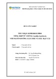 Đồ án tốt nghiệp: Thu nhận Sophorolipid tổng hợp từ chủng Candida bombicola với nguồn đường glucose và dầu hạt cải