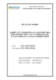 Đồ án tốt nghiệp: Nghiên cứu ảnh hưởng của chất điều hòa sinh trưởng thực vật và chitosan lên sự tạo chồi lan Cattleya Hybrid White