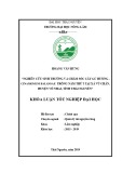 Khóa luận tốt nghiệp Đại học: Nghiên cứu sinh trưởng và chăm sóc cây Gù hương - Cinamomum balansae trồng năm thứ 3 tại xã Vũ Chấn huyện Võ Nhai