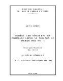 Luận văn Thạc sĩ Khoa học: Nghiên cứu khả năng hấp phụ ion photphat của bùn đỏ và ứng dụng xử lý tách khỏi nguồn nước
