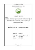 Khóa luận tốt nghiệp Đại học: Nghiên cứu xác định nguyên nhân gây bệnh thối rễ cây cam canh, cây cam V2 tại tỉnh Quảng Ninh