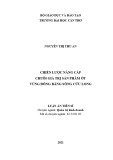 Luận án Tiến sĩ Quản trị kinh doanh: Chiến lược nâng cấp chuỗi giá trị sản phẩm ớt vùng đồng bằng sông Cửu Long