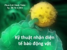 Bài giảng Kỹ thuật nhận diện tế bào động vật