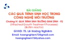 Bài giảng Các quá trình sinh học trong kỹ thuật môi trường - Chương 4: Quá trình sinh trưởng bám dính (Phần 2)