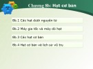 Bài giảng Vật lý đại cương 2 - Chương 8b: Hạt cơ bản