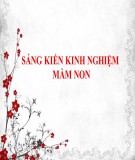 Sáng kiến kinh nghiệm Mầm non: Một số kinh nghiệm xây dựng trường Mầm non đạt chuẩn Quốc gia mức độ II