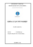 Khóa luận tốt nghiệp ngành Marketing: Giải pháp Marketing nhằm mở rộng thị trường cho Công ty TNHH Thương mại và Dịch vụ Toàn Phượng