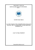 Luận văn Thạc sĩ Kinh tế: Các yếu tố động viên ảnh hướng đến sự hài lòng với công việc của công chức ngành Thanh tra tỉnh Đồng Nai