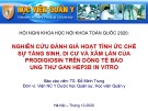 Bài giảng Nghiên cứu đánh giá hoạt tính ức chế sự tăng sinh, di cư và xâm lấn của prodigiosin trên dòng tế bào ung thư gan HEP 3B in vitro