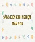 Sáng kiến kinh nghiệm Mầm non: Một số biện pháp đổi mới hình thức tổ chức hoạt động khám phá khoa học cho trẻ 5-6 tuổi ở trường mầm non