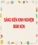 Sáng kiến kinh nghiệm Mầm non: Một số kinh nghiệm giáo dục trẻ ý thức bảo vệ môi trường