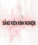 Sáng kiến kinh nghiệm: Một số kinh nghiệm nâng cao thành tích bồi dưỡng đội tuyển học sinh giỏi cờ vua