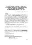 Đặc điểm lâm sàng, vi sinh vật và kháng sinh sử dụng trên bệnh nhân có vết thương mạn tính được điều trị nội trú trong năm 2019 tại Bệnh viện Bỏng Quốc gia Lê Hữu Trác