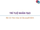 Bài giảng Trí tuệ nhân tạo: Bài 12 - Trương Xuân Nam