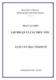 Luận văn Thạc sĩ Kinh tế: Lợi nhuận và cấu trúc vốn