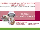 Bài giảng Giải phẫu sinh lý: Giải phẫu sinh lý hệ nội tiết