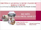 Bài giảng Giải phẫu sinh lý: Giải phẫu sinh lý hệ tuần hoàn