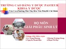 Bài giảng Giải phẫu sinh lý: Giải phẫu sinh lý máu