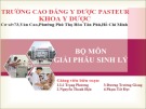 Bài giảng Giải phẫu sinh lý: Giải phẫu hệ tiêu hóa