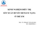 Bài giảng Kinh nghiệm điều trị sốt xuất huyết Dengue nặng ở trẻ em