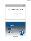 Bài giảng Cập nhật Gina 2014