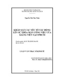 Luận văn Thạc sĩ Kinh tế: Khảo sát các yếu tố tác động lên sự thỏa mãn công việc của giảng viên tại TP.HCM