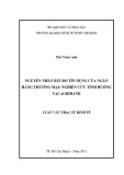 Luận văn Thạc sĩ Kinh tế: Nguyên nhân rủi ro tín dụng của ngân hàng thương mại: nghiên cứu tình huống tại Agribank