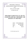 Khoá luận tốt nghiệp Sư phạm Hoá học: Tổng hợp và khảo sát các yếu tố ảnh hưởng đến quá trình điều chế Zeolite X từ tro trấu