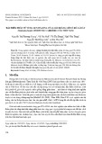 Đặc điểm phân tử vùng gen ITS-rDNA của loài Hoàng liên ô rô lá dày (Mahonia bealei (Fortune) Carrière) của Việt Nam