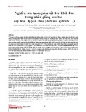 Nghiên cứu tạo nguồn vật liệu khởi đầu trong nhân giống in vitro cây hoa Dạ yến thảo (Petunia hybrida L.)