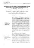 Ảnh hưởng của các loại vật liệu giống đến sinh trưởng, năng suất và chất lượng rừng trồng keo lai tại Đồng Phú -  Bình Phước