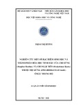 Luận án Tiến sĩ Sinh học: Nghiên cứu một số đặc điểm sinh học và thành phần hóa học tinh dầu của chi Gừng (Zingiber Boehm.) và chi Ngải tiên (Hedychium Koen.) thuộc họ Gừng (Zingiberaceae Lindl.) ở Bắc Trung Bộ