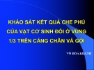 Bài giảng Khảo sát kết quả che phủ của vạt cơ sinh đôi ở vùng 1/3 trên cẳng chân và gối - BS. Võ Hòa Khánh