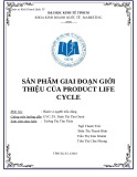 Tiểu luận Hành vi người tiêu dùng: Sản phẩm giai đoạn giới thiệu của Product Life Cycle
