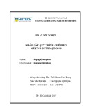 Đồ án tốt nghiệp: Khảo sát quy trình chế biến mứt vỏ bưởi mật ong