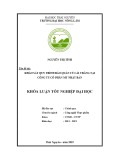 Khoá luận tốt nghiệp Đại học: Khảo sát quy trình bảo quản củ cải trắng tại Công ty cổ phần MT Nhật Bản