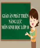 Giáo án theo định hướng phát triển năng lực học sinh môn Sinh học 10