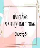 Bài giảng Sinh học đại cương - Chương 5