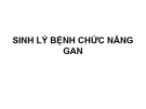 Bài giảng Sinh lý bệnh chức năng gan - La Hồng Ngọc