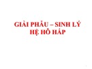 Bài giảng Giải phẫu - Sinh lý hệ hô hấp - BS. CK1. Đào Thanh Hiệp