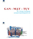 Bài giảng Gan - Mật - Tụy - BS. Trương Văn Quang