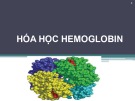 Bài giảng Hóa học hemoglobin - Võ Hồng Trung