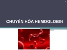 Bài giảng Chuyển hóa hemoglobin - Võ Hồng Trung