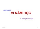 Bài giảng Chương 5: Vi nấm học - TS. Phùng Đức Truyền