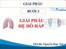 Bài giảng Giải phẫu: Buổi 2 - ThS.BS. Nguyễn Duy Tài