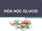 Bài giảng Hóa học glucid - ThS. Huỳnh Thị Thu Hương