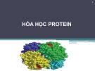 Bài giảng Hóa học protein -  Võ Hồng Trung