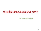 Bài giảng Vi nấm Malassezia Spp. -TS. Phùng Đức Truyền