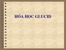 Bài giảng Hóa học glucid - ThS. Nguyễn Thị Minh Thuận