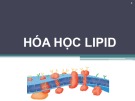 Bài giảng Hóa học lipid - Võ Hồng Trung